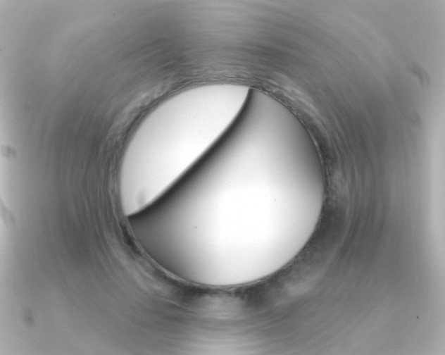 X0000091330644200708101002