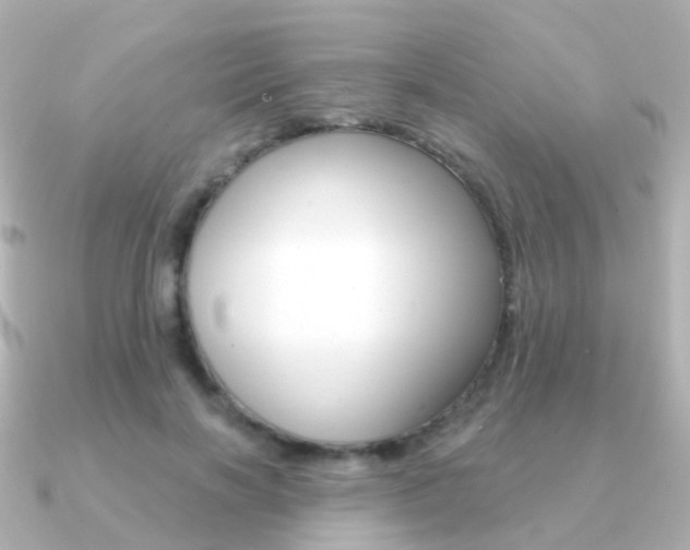 X0000091330646200708101002