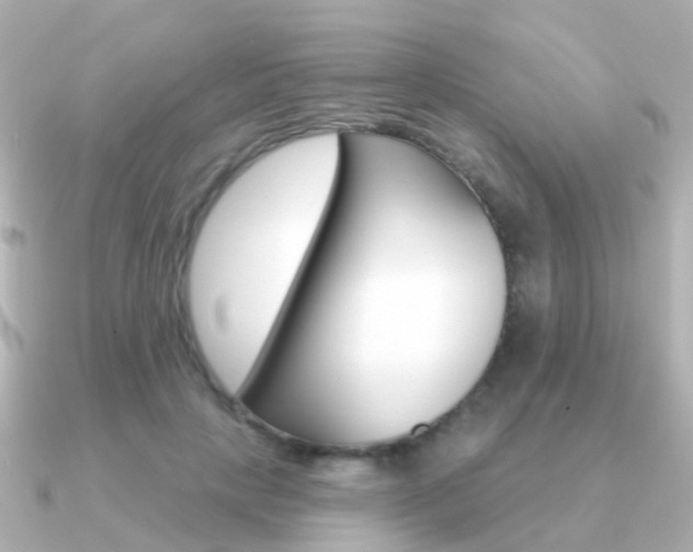 X0000091330649200708101002