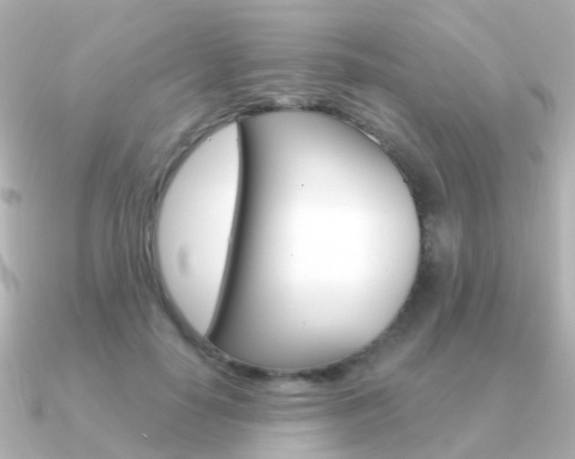 X0000091330650200708101002