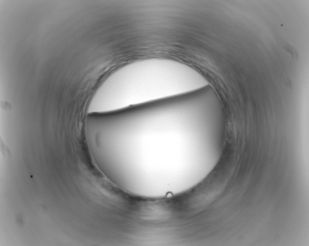 X0000091330652200708101002