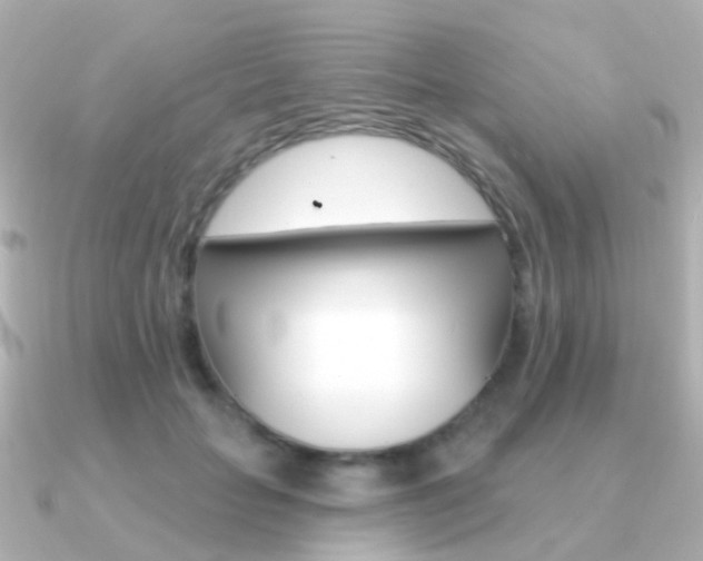 X0000091330653200708101002