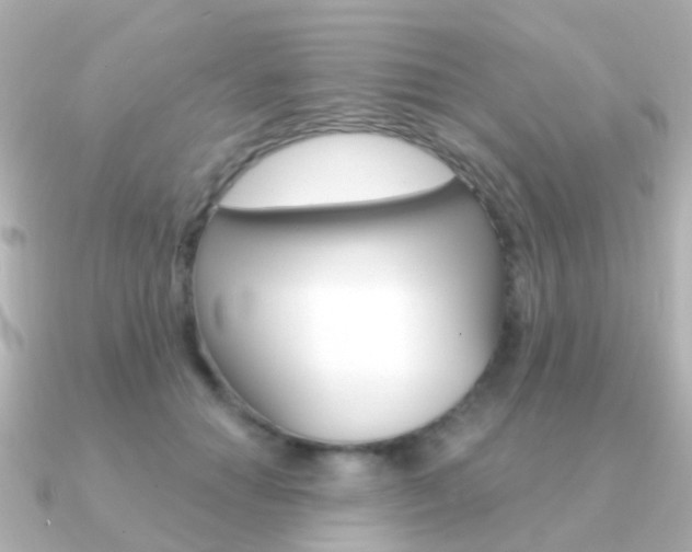 X0000091330654200708101002