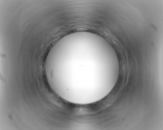 X0000091330655200708101002