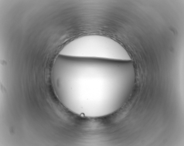 X0000091330656200708101002