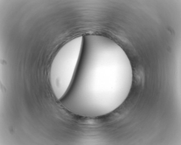X0000091330657200708101002