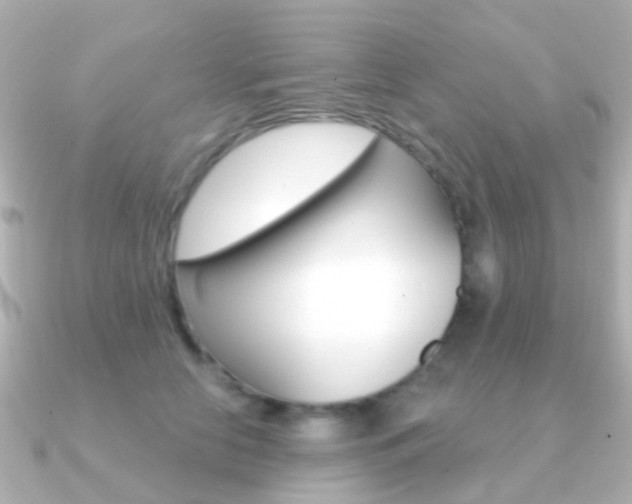 X0000091330658200708101002