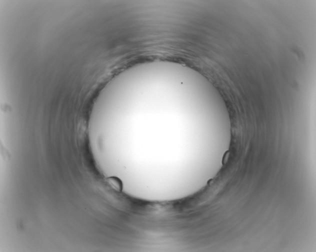 X0000091330660200708101002