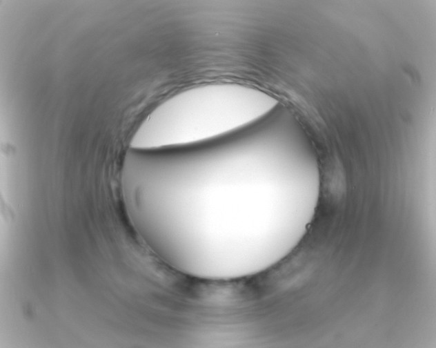 X0000091330661200708101002