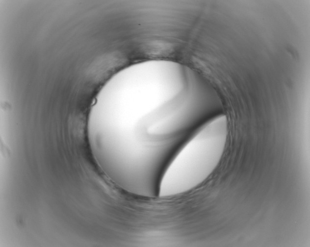 X0000091330664200708101002