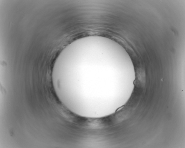 X0000091330667200708101002