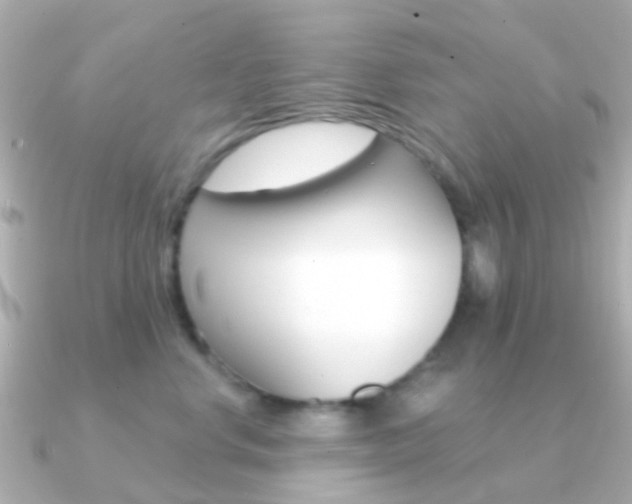 X0000091330668200708101002