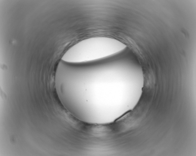 X0000091330669200708101002