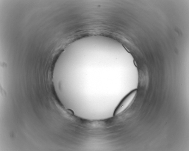 X0000091330670200708101002