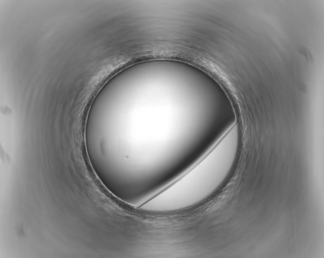 X0000091330673200708101002