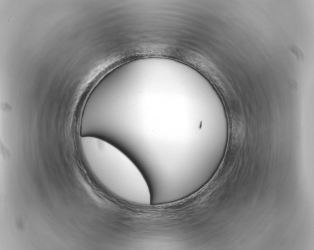 X0000091330674200708101002