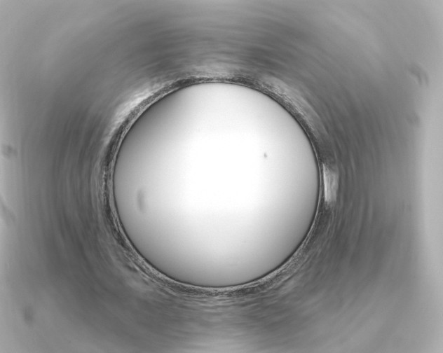 X0000091330675200708101002