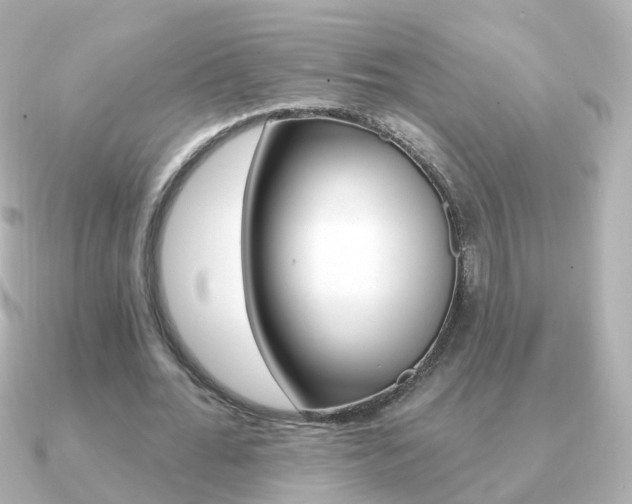 X0000091330676200708101002