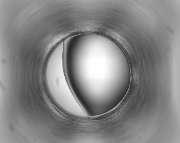 X0000091330677200708101002