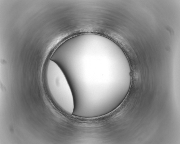 X0000091330678200708101002