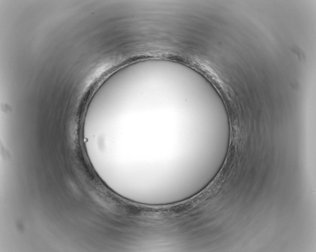 X0000091330679200708101002