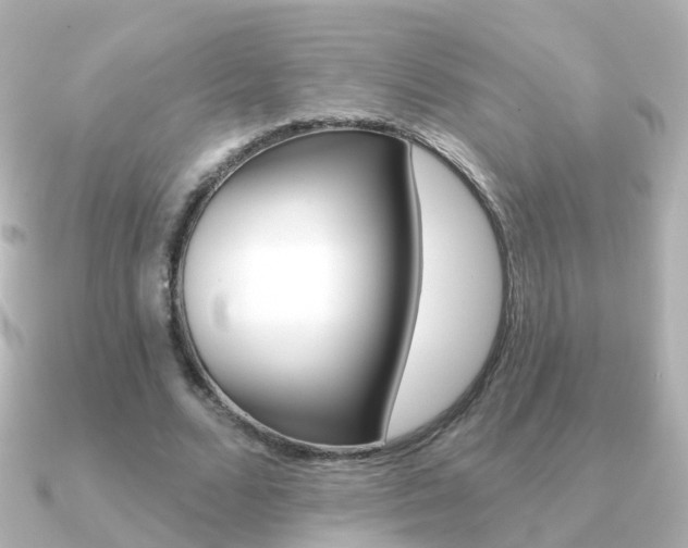 X0000091330680200708101002