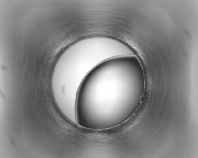 X0000091330681200708101002