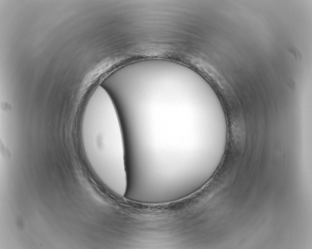 X0000091330682200708101002