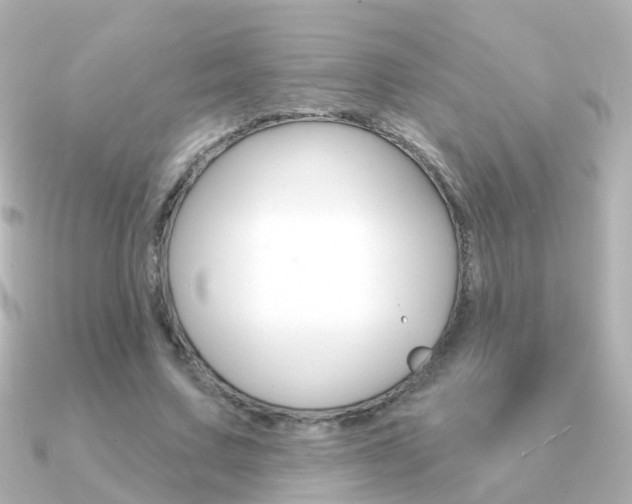 X0000091330683200708101002