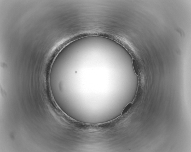 X0000091330684200708101002