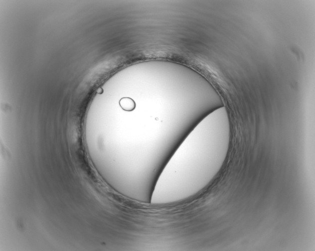 X0000091330687200708101002