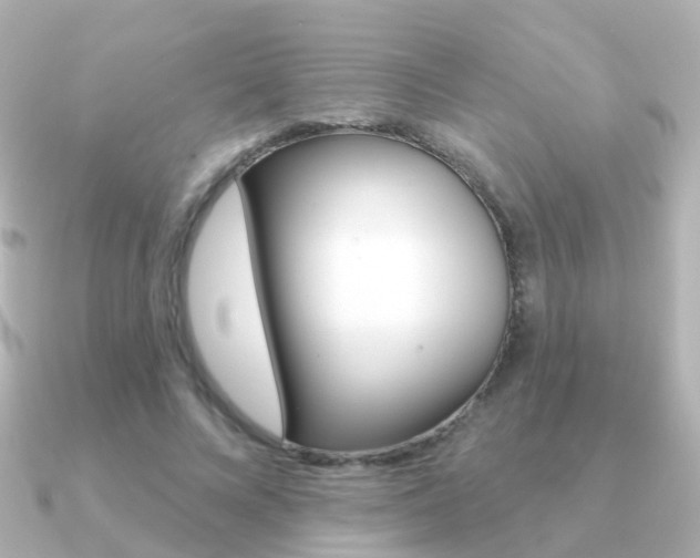 X0000091330688200708101002