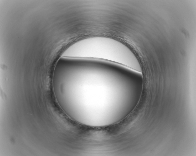 X0000091330689200708101002