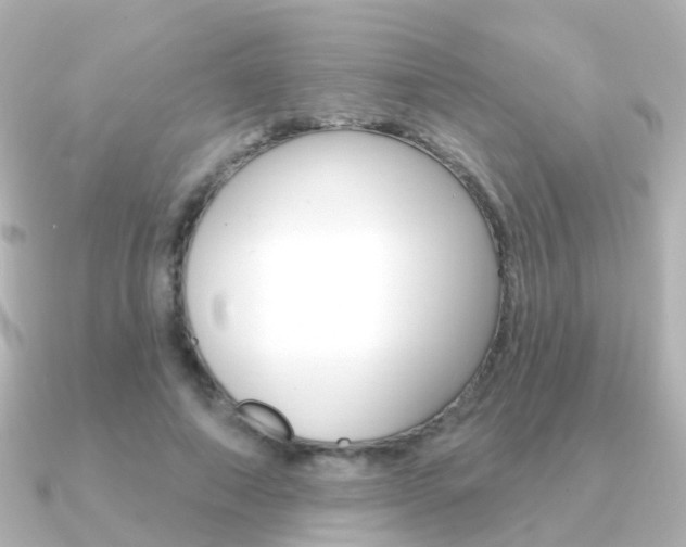 X0000091330690200708101002