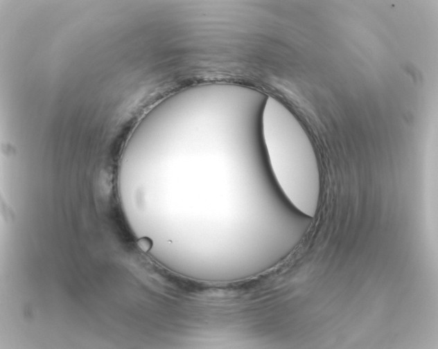 X0000091330691200708101002