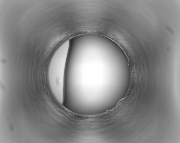 X0000091330692200708101002