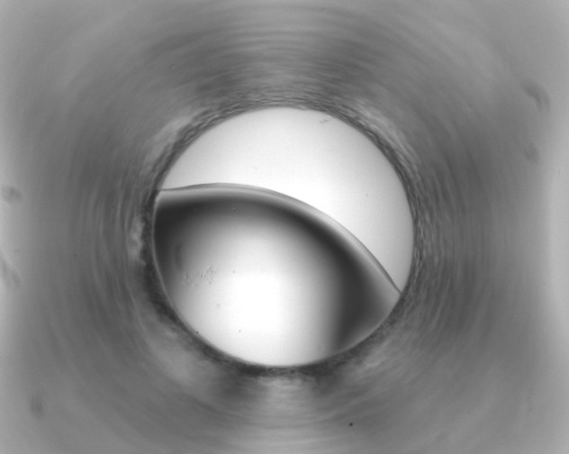 X0000091330693200708101002