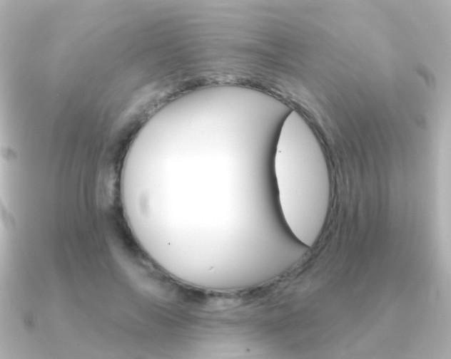 X0000091330694200708101002