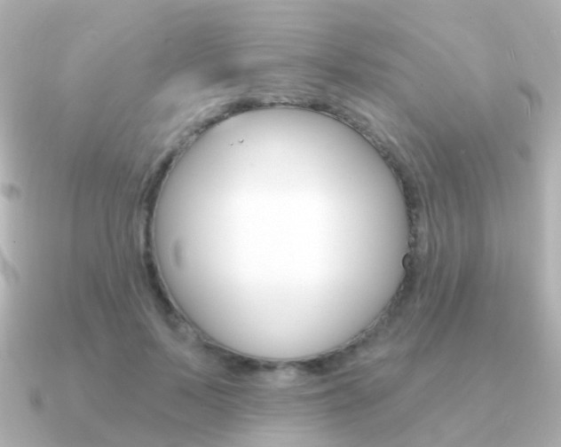 X0000091330695200708101002