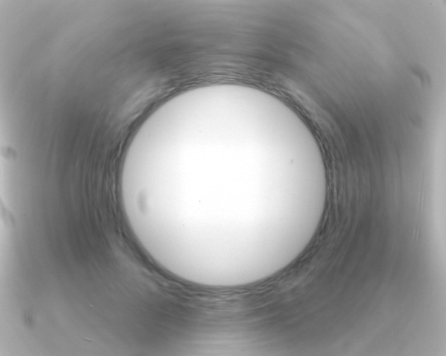 X0000091330696200708101002