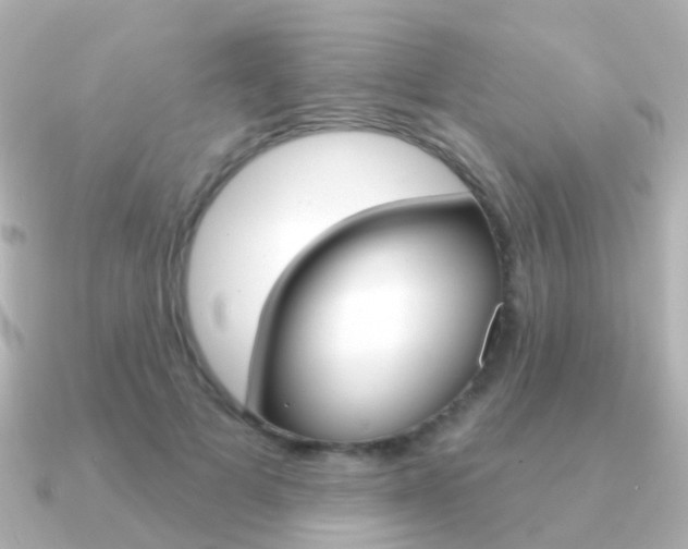X0000091330697200708101002