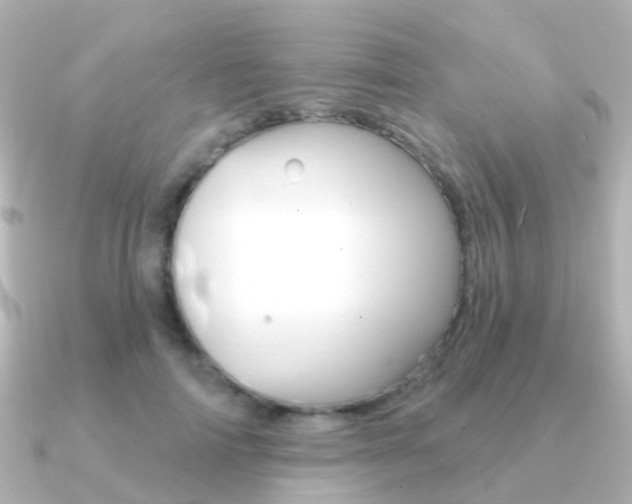 X0000091330698200708101002