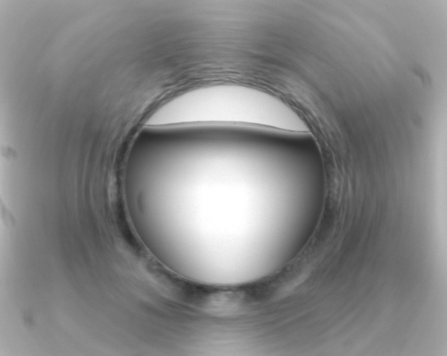 X0000091330700200708101002