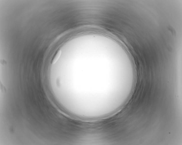 X0000091330701200708101002