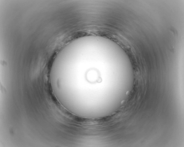 X0000091330702200708101002