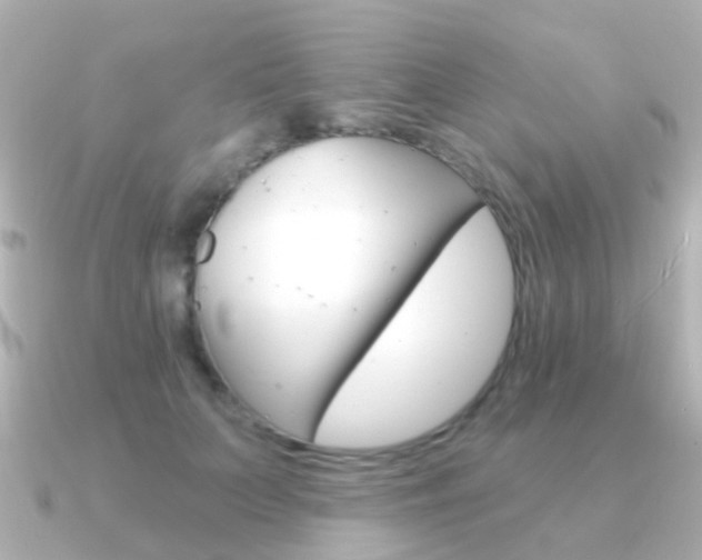 X0000091330703200708101002
