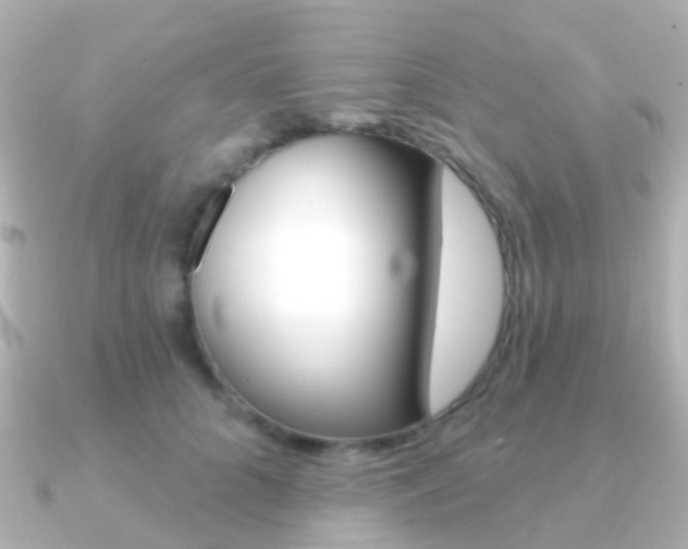 X0000091330704200708101002
