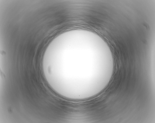 X0000091330705200708101002