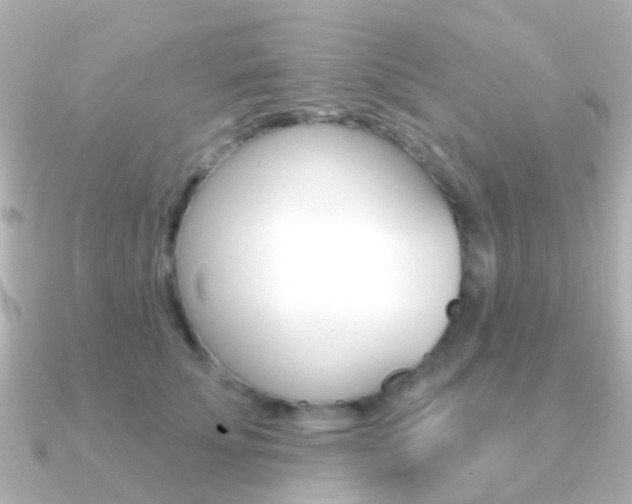 X0000091330707200708101002