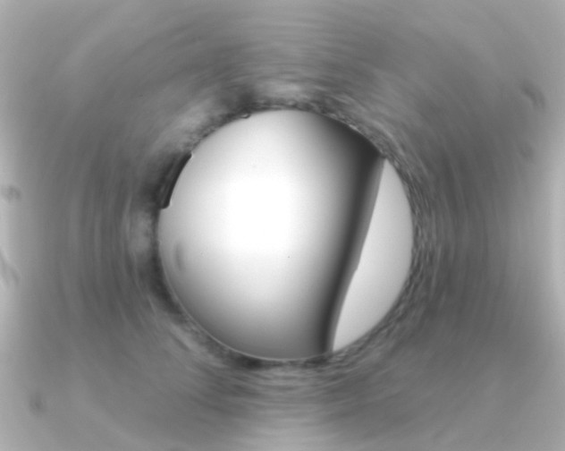 X0000091330708200708101002